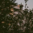 ���� �����, ���� - ��������� 12 ������ 2024 � ������ ���� ����������