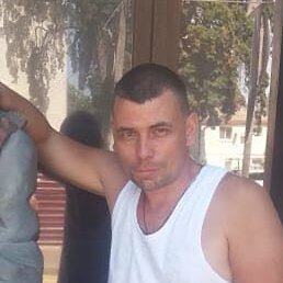 ������, ���������, 43 ����