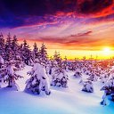 ���� �������, ������, 40 ��� - ��������� 11 ������ 2024 � ������ ������ ��������