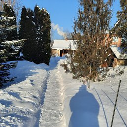 ���� ����, ������, 65 ��� - ��������� 25 ������� 2024