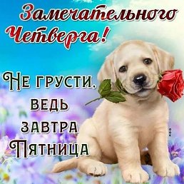 ����, �����-���������, 52 ����