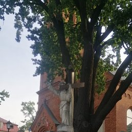 , 50, 