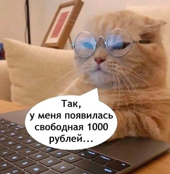    )