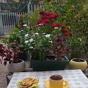 ���� ������, ����������, 57 ��� - ��������� 5 ����� 2025 � ������ ���� ����������