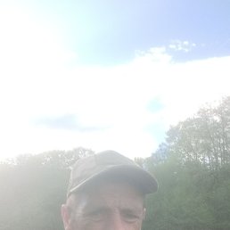 , 41 , 