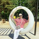 ���� Stel, ������, 58 ��� - ��������� 25 ��� 2026 � ������ ���� ����������