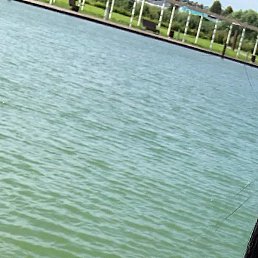 ����, ������, 44 ����