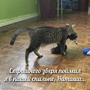 ���� ���������, ���������, 44 ���� - ��������� 16 ���� 2026 � ������ ������ ��������