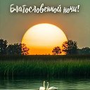 ���� ����� 283, ����� - ��������� 12 ������ 2025 � ������ ������ ��������