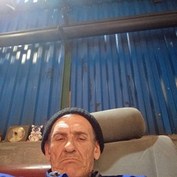 , 55 , 