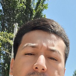 , 30, 