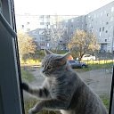 ���� ������, ������������ - ��������� 12 ������ 2025 � ������ ������ ��������