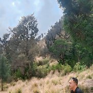 Muhamad ari, 23 ����, �����������