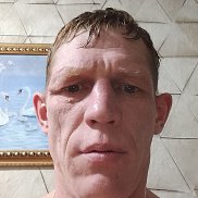 ����, 41 ���, ������