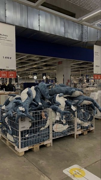 ���� ������������ � ������? �������� ���������������� �������� ���� � ���������� ��������� ������ ... - 3