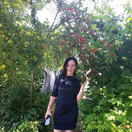 , 44, 