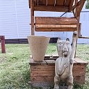 ���� ����, �����������, 43 ���� - ��������� 29 ������ 2025 � ������ ���� ����������