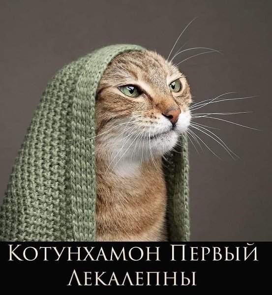 Случилось это в прошлую пятницу. Муж был на сутках. Я вечером приехала с работы домой, поставила ...