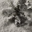 ���� �������, �����������, 59 ��� - ��������� 14 ������ 2026