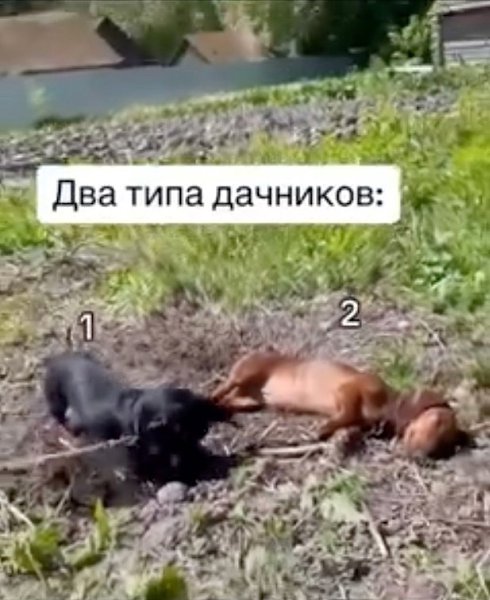 � ����� �� ���?