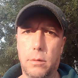 ��������, �������, 40 ���