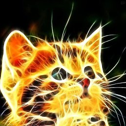 ������, ������, 52 ����