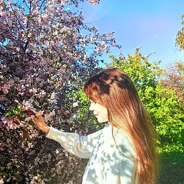 ����, ������