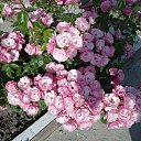 ���� �������, ������, 58 ��� - ��������� 2 ����� 2026