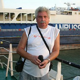 , 65, 