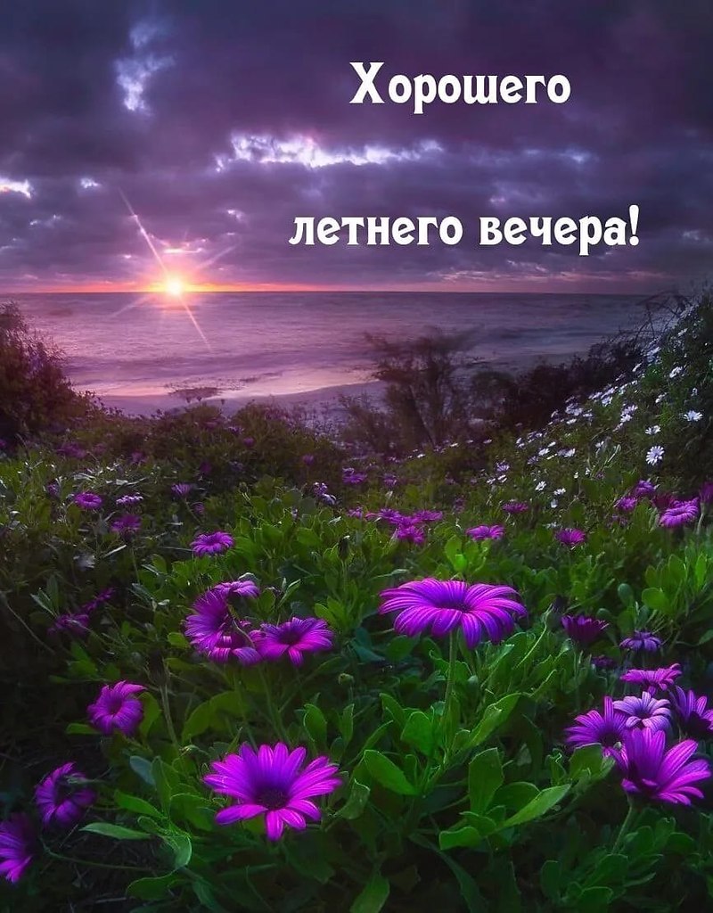   - 28  2025  19:28