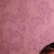 ����, 45 ���, ���������