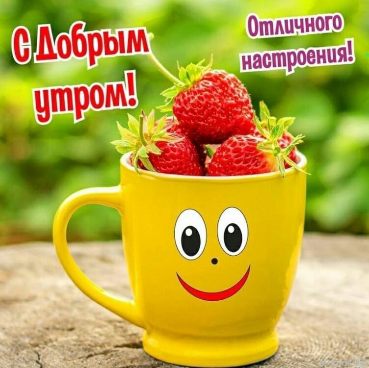   - 1  2025  10:00