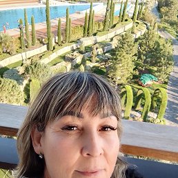 , 50, 