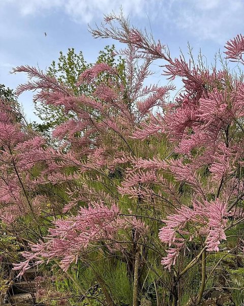 ��������� �������� ��������� ������� � ������������ ���� ����� ��������.�������������� ������� ... - 4