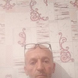, 54, 