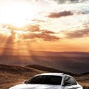 ���� ���� ������, ������, 44 ���� - ��������� 23 ������� 2026 � ������ ���� ����������