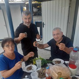 , 54, 