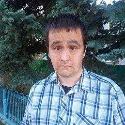 , 34, 