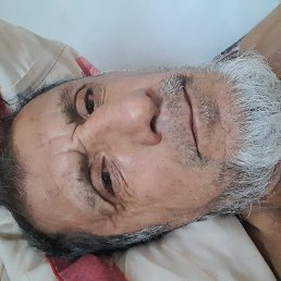 �����, �������, 66 ���