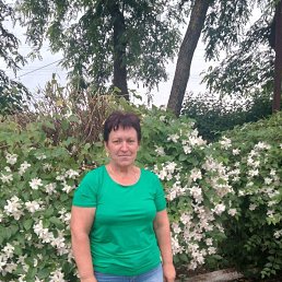 ���� ����, ����������, 61 ��� - ��������� 22 ������ 2024