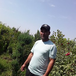 Bobosh, 39, 