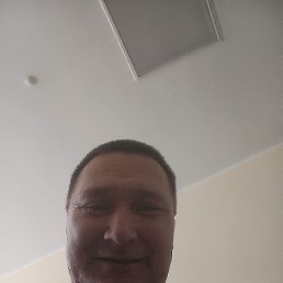 , 49, 