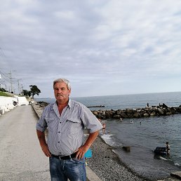 , 55, 