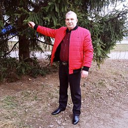 ���� ������, �������, 53 ���� - ��������� 16 ������ 2026