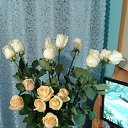 ���� �, ���, 50 ��� - ��������� 29 ������ 2026