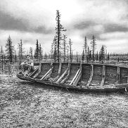 ������, 35 ���, �������