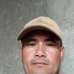 , 37, 