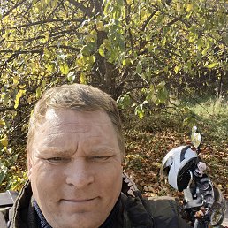   ,  , 43  -  28  2025