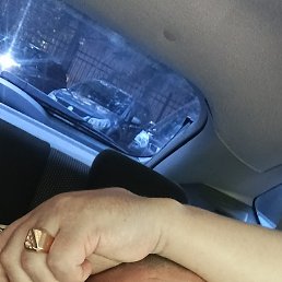 ���� ���������, �������������, 44 ���� - ��������� 19 ������� 2026