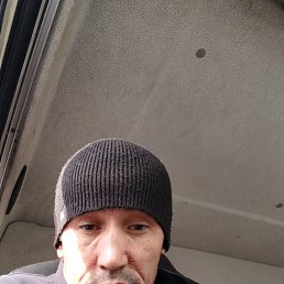 , 41, 
